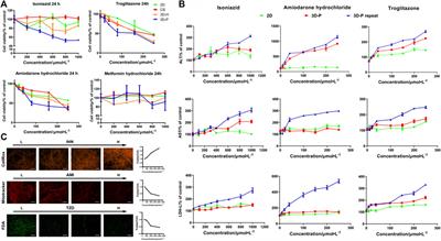 Application of 3D Hepatic Plate-Like Liver Model for Statin-Induced Hepatotoxicity Evaluation